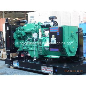 Ck31600 Diesel Open Generator with Cummins Engine (CK31600)